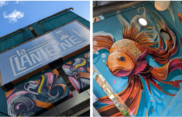 Projet Graff au CEJ